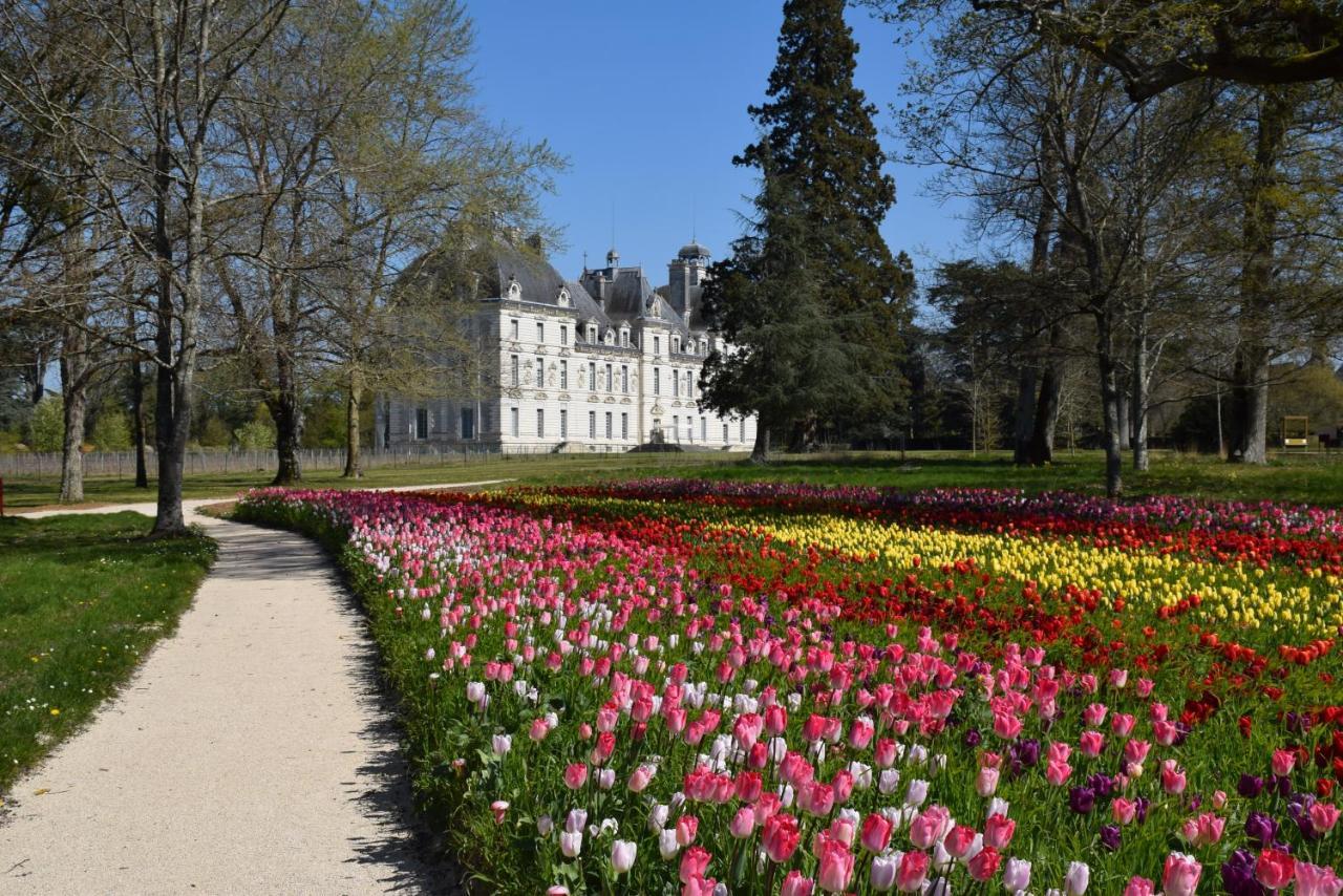 Logis Hotel Du Cygne Брасье Экстерьер фото